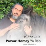 دانلود آهنگ پرواز همای یار رب چه کنم
