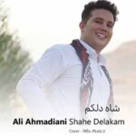 دانلود آهنگ بورو که ای دله اراد دی آرام نیری یادی