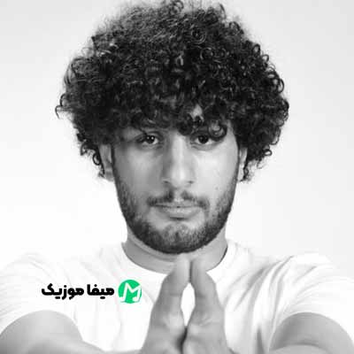 دانلود آهنگ فرزاد بیرانوند دلتنگم