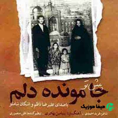  دانلود اهنگ رفتم از شهر تو و پیش تو جا مونده دلم