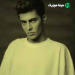 دانلود اهنگ نفسمی خب گل قلبمی عسلمی تو آره زیاد