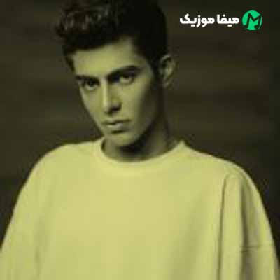 دانلود اهنگ نفسمی خب گل قلبمی عسلمی تو آره زیاد 