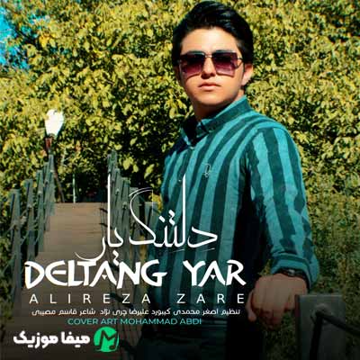 دانلود آهنگ علیرضا زارع دلتنگ یار