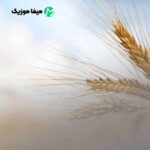 دانلود آهنگ یا همه با هم یا همه تنها