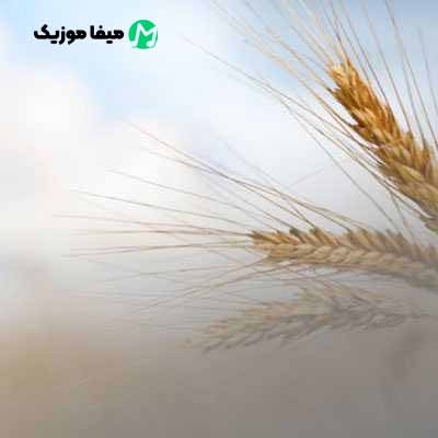 دانلود آهنگ یا همه با هم یا همه تنها
