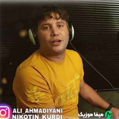 دانلود آهنگ علی احمدیانی نامرد