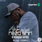 دانلود اهنگ رضا شیری نمیشنوم حرفاتو ریمیکس