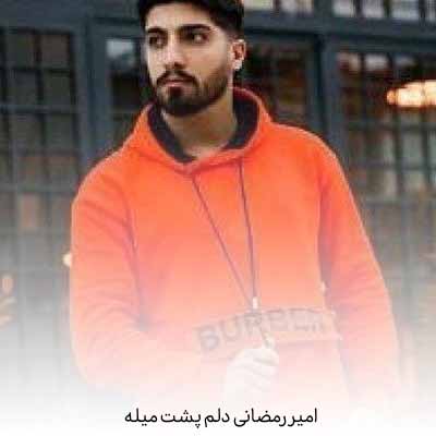 دانلود آهنگ امیر رمضانی دلم پشت میله