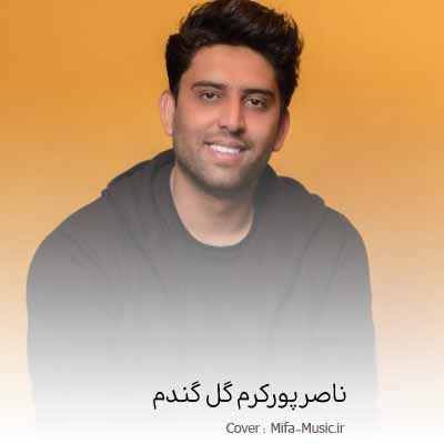 دانلود آهنگ ناصر پورکرم گل گندم