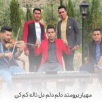 دانلود آهنگ مهیار برومند دلم دلم دل ناله کم کن