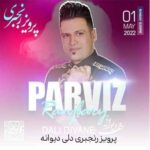 دانلود آهنگ پرویز رنجبری دلی دیوانه