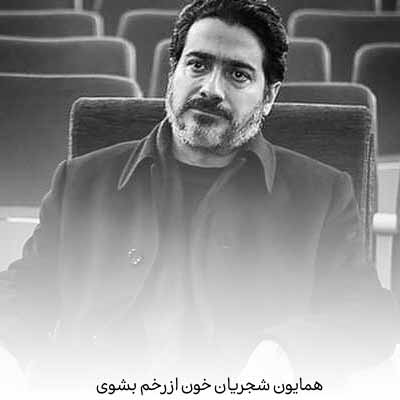 دانلود آهنگ همایون شجریان خون از رخم بشوی