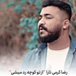 دانلود آهنگ از تو کوچه رد میشی قلب منه
