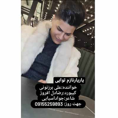دانلود آهنگ علی برزنونی یاریارنازم توایی