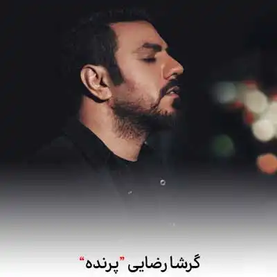 دانلود آهنگ گرشا رضایی پرنده