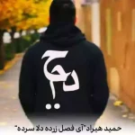 دانلود آهنگ حمید هیراد آی فصل زرده دلا سرده