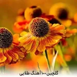 دانلود گلچین 100 آهنگ طلایی