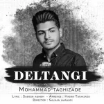 دانلود آهنگ محمد تقی زاده دلتنگی