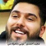 دانلود آهنگ زیبای من تویی دلخواه من