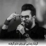 دانلود آهنگ گرشا رضایی ای وای دلم گرفته