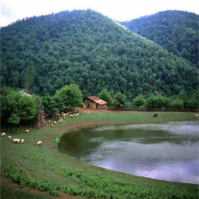 دانلود اهنگ ترکی اردبیلی شاد
