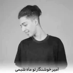 دانلود آهنگ امیر خوشنگار تو ماه شبمی