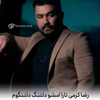دانلود آهنگ امشو دلتنگ دلتنگوم