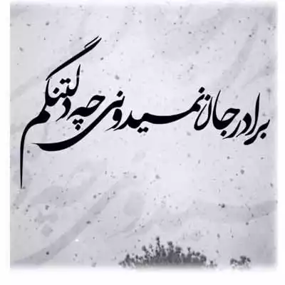 دانلود آهنگ گرشا رضایی برادر جان نمیدونی چه دلتنگم