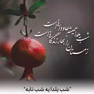 دانلود آهنگ پیام مقامی شب یلدا یه شب نابه