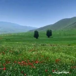 دانلود آهنگ ماهک کوگ بال اشکهسه