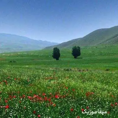 دانلود آهنگ ماهک کوگ بال اشکهسه
