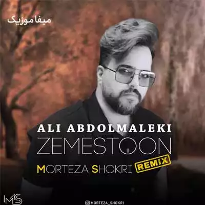 دانلود اهنگ زمستون علی عبدالمالکی ریمیکس