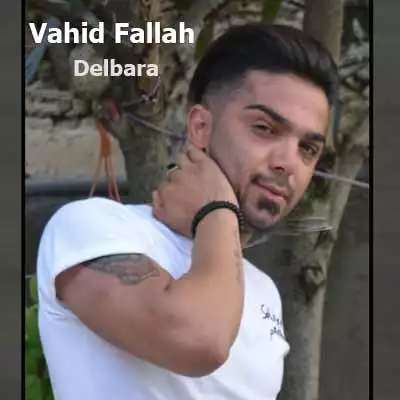دانلود آهنگ وحید فلاح دلبرا