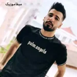 دانلود آهنگ زدی ضربتی ضربتی نوش کن