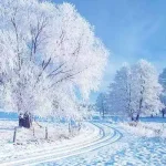 دانلود آهنگ زمستون تن عریون باغچه