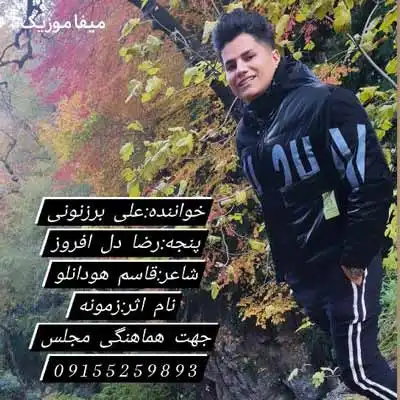 دانلود آهنگ علی برزنونی زمونه