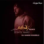 دانلود ریمیکس زشته نرو رضا شیری