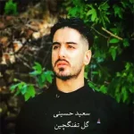 دانلود آهنگ سعید حسینی گل تفنگچین