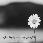 دانلود آهنگ تکی نزن و دنیا دنیا وفا نداره گیتاری