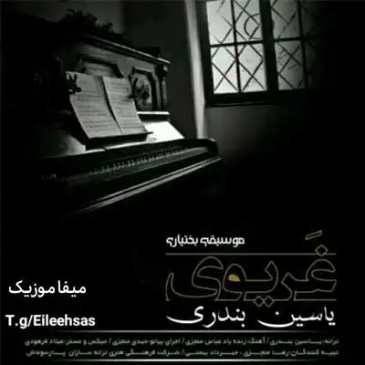 دانلود آهنگ یاسین بندری غریبوی
