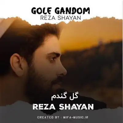 دانلود آهنگ رضا شایان گل گندم