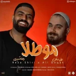 دانلود آهنگ رضا شیری مو طلا