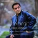 دانلود آهنگ سعید شهروز دلتنگی