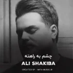 دانلود آهنگ چشم به راهه این دلم عاشقم زیاد