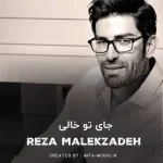 دانلود آهنگ رضا ملک زاده جای تو خالی