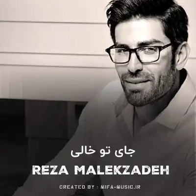 دانلود آهنگ رضا ملک زاده جای تو خالی