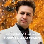 دانلود آهنگ چه شد صبر و قرارم وای بر من