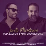 دانلود آهنگ رضا صادقی جورتو میکشم