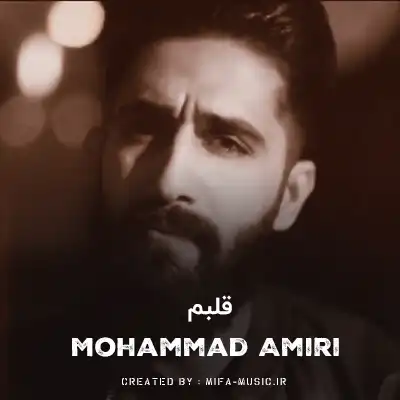 دانلود آهنگ قلبم ها بان صد حالم نکه حال سگ
