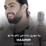 دانلود آهنگ یه جوری بنده من دلم به تو